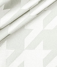 IMAGE_T