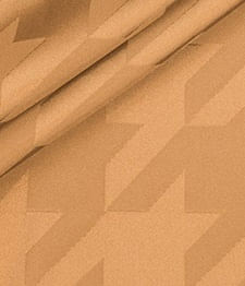 IMAGE_T