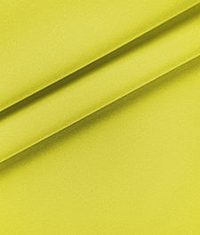 IMAGE_T