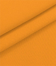 IMAGE_T