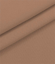 IMAGE_T