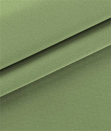IMAGE_T