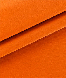 IMAGE_T