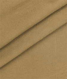IMAGE_T