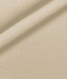 IMAGE_T