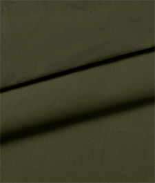 IMAGE_T