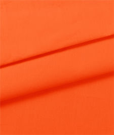 IMAGE_T