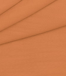 IMAGE_T