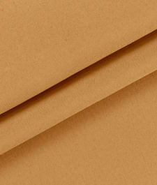 IMAGE_T