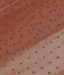 IMAGE_T