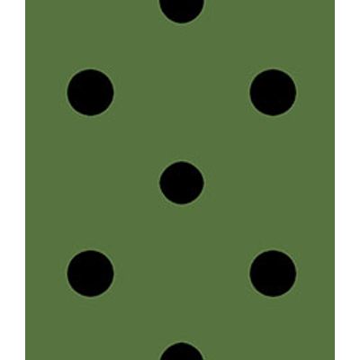 IMAGE_T