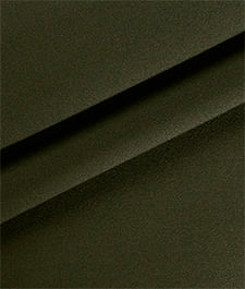 IMAGE_T