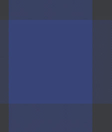 IMAGE_T