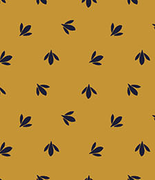 IMAGE_T