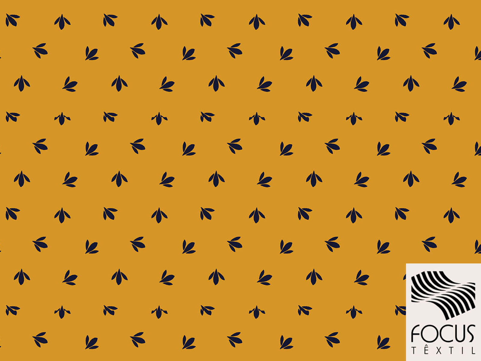 IMAGE_L