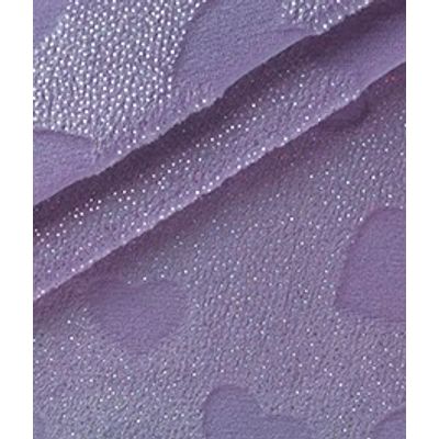 IMAGE_T