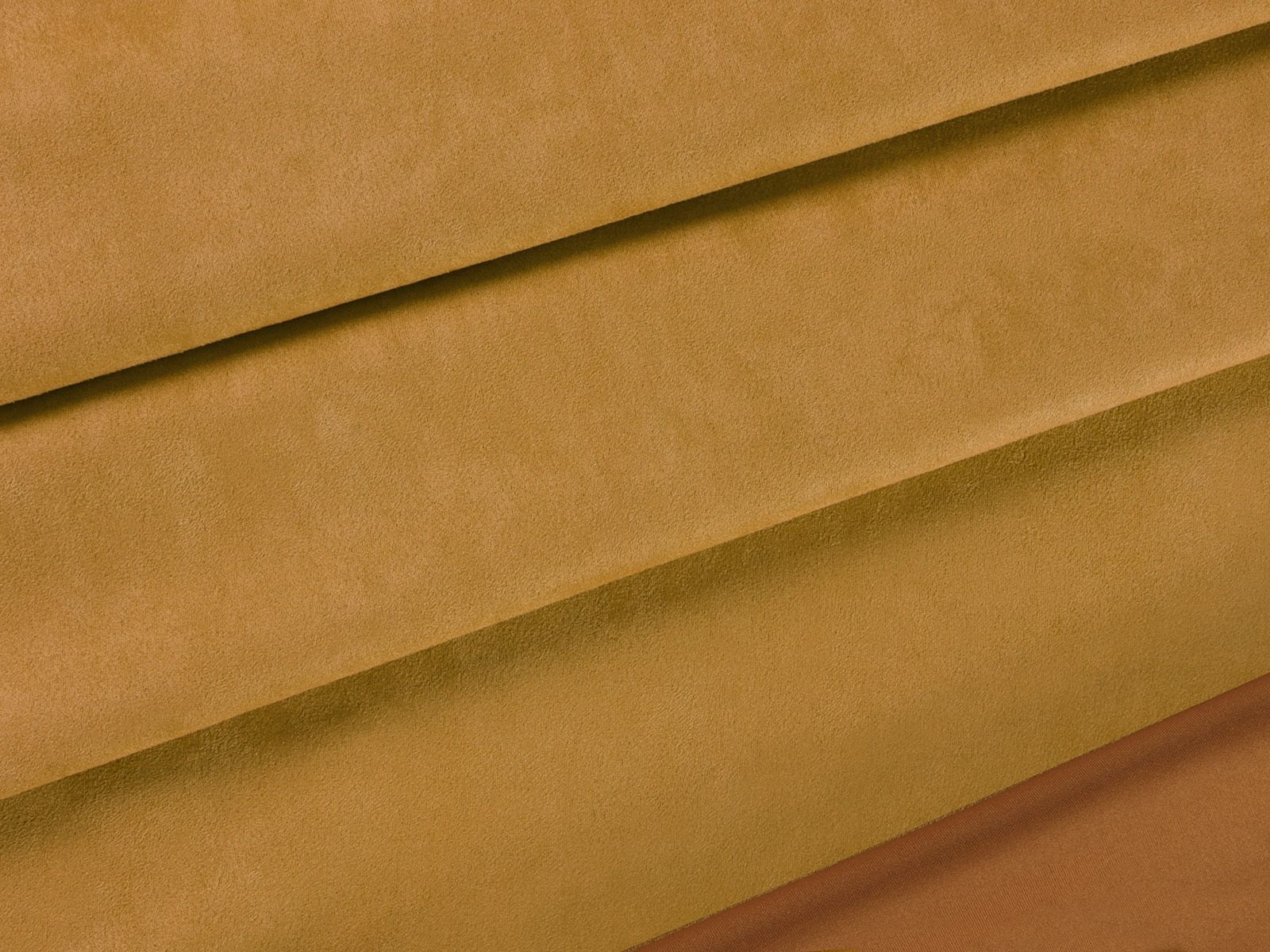 IMAGE_L