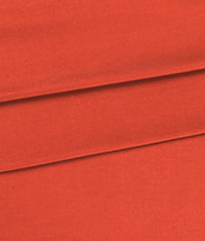 IMAGE_T