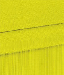 IMAGE_T