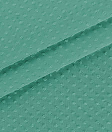 IMAGE_T