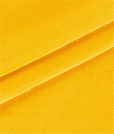 IMAGE_T