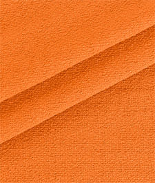 IMAGE_T