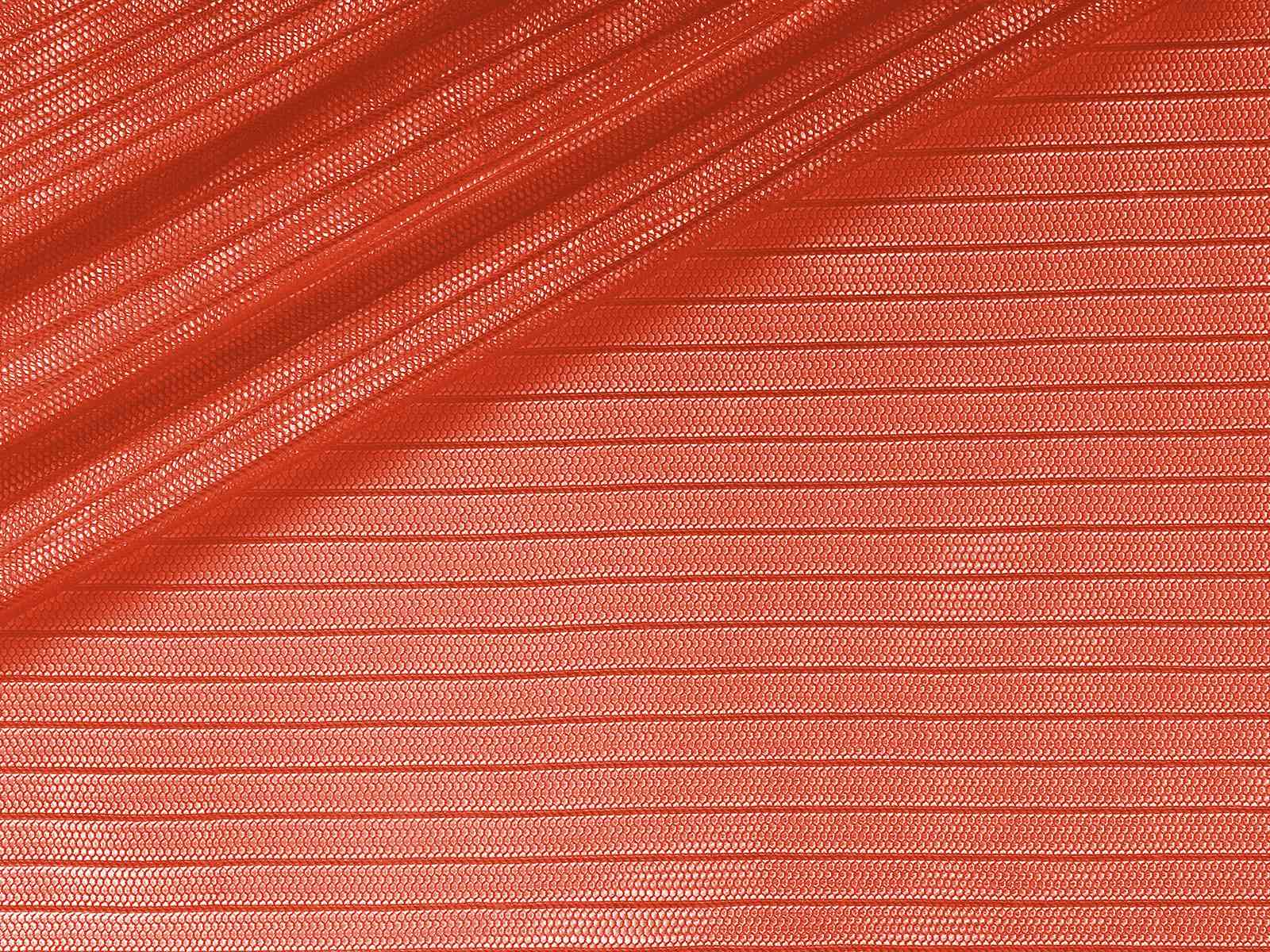 IMAGE_L
