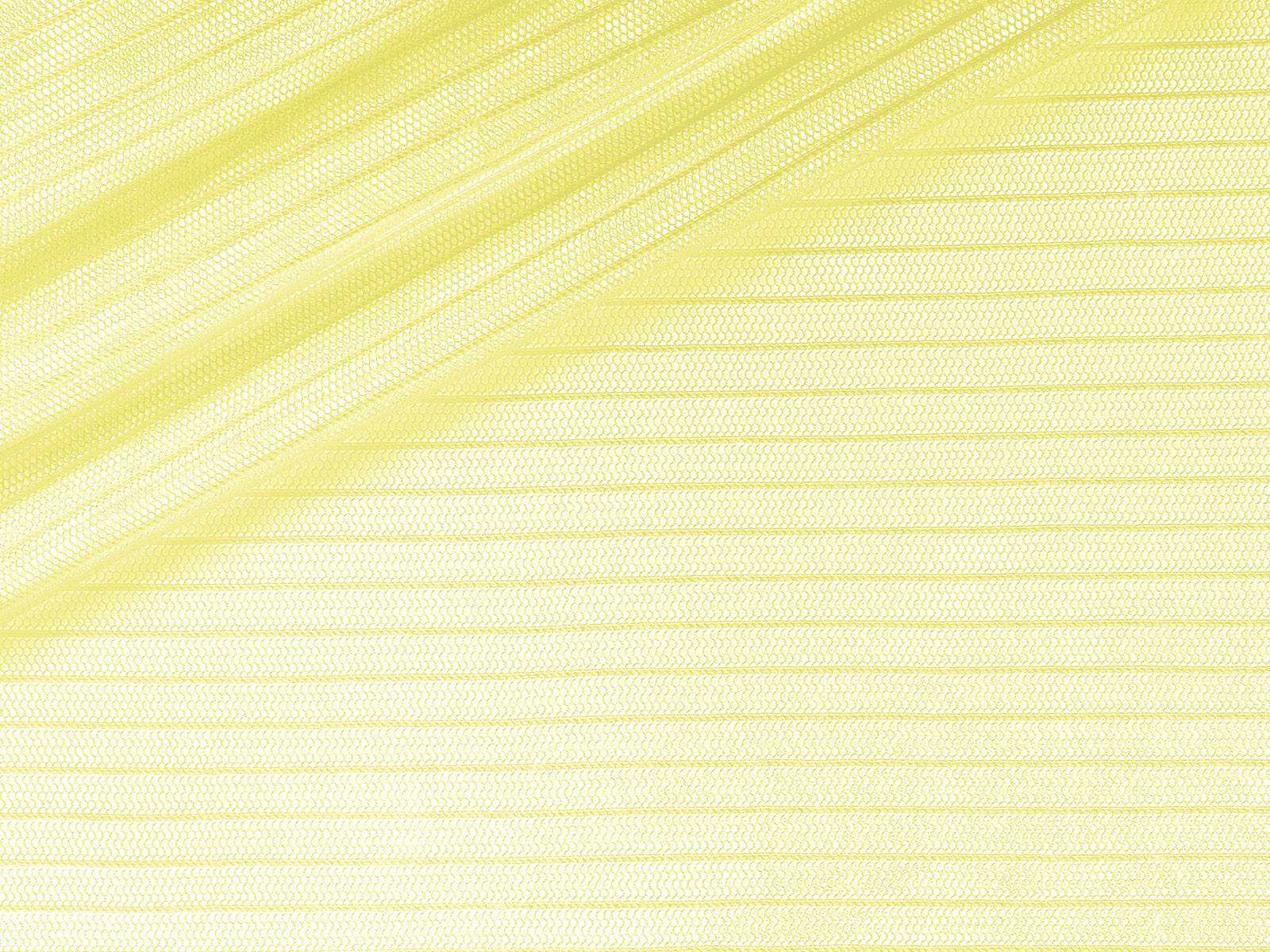 IMAGE_L