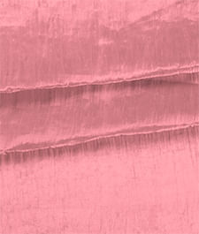 IMAGE_T