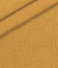 IMAGE_T