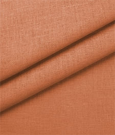 IMAGE_T