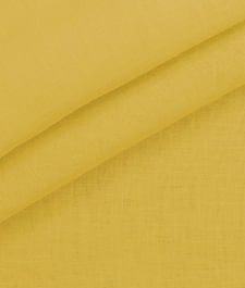 IMAGE_T
