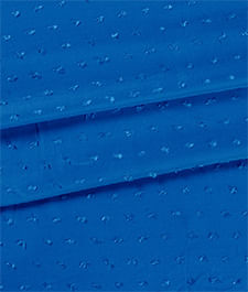 IMAGE_T