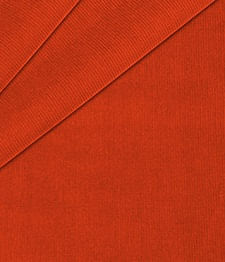 IMAGE_T