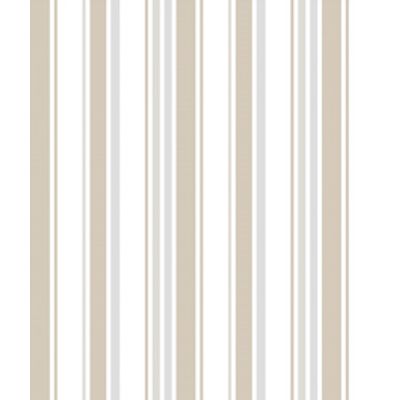 IMAGE_T