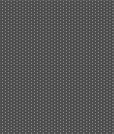 IMAGE_T