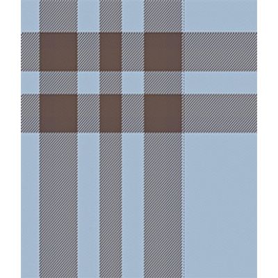 IMAGE_T