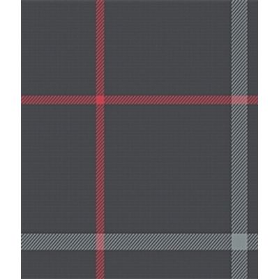 IMAGE_T