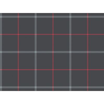 IMAGE_L