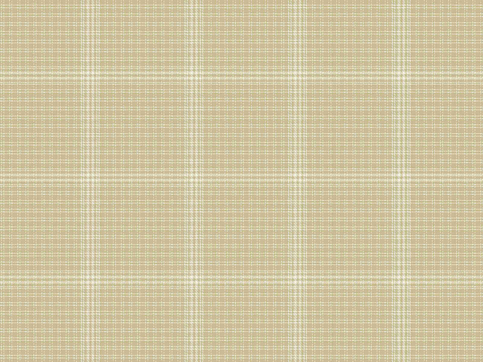 IMAGE_L