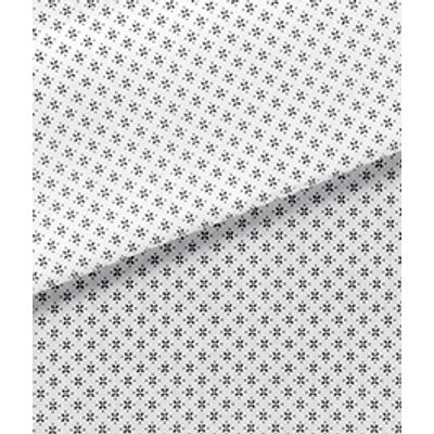 IMAGE_T