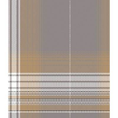 IMAGE_T
