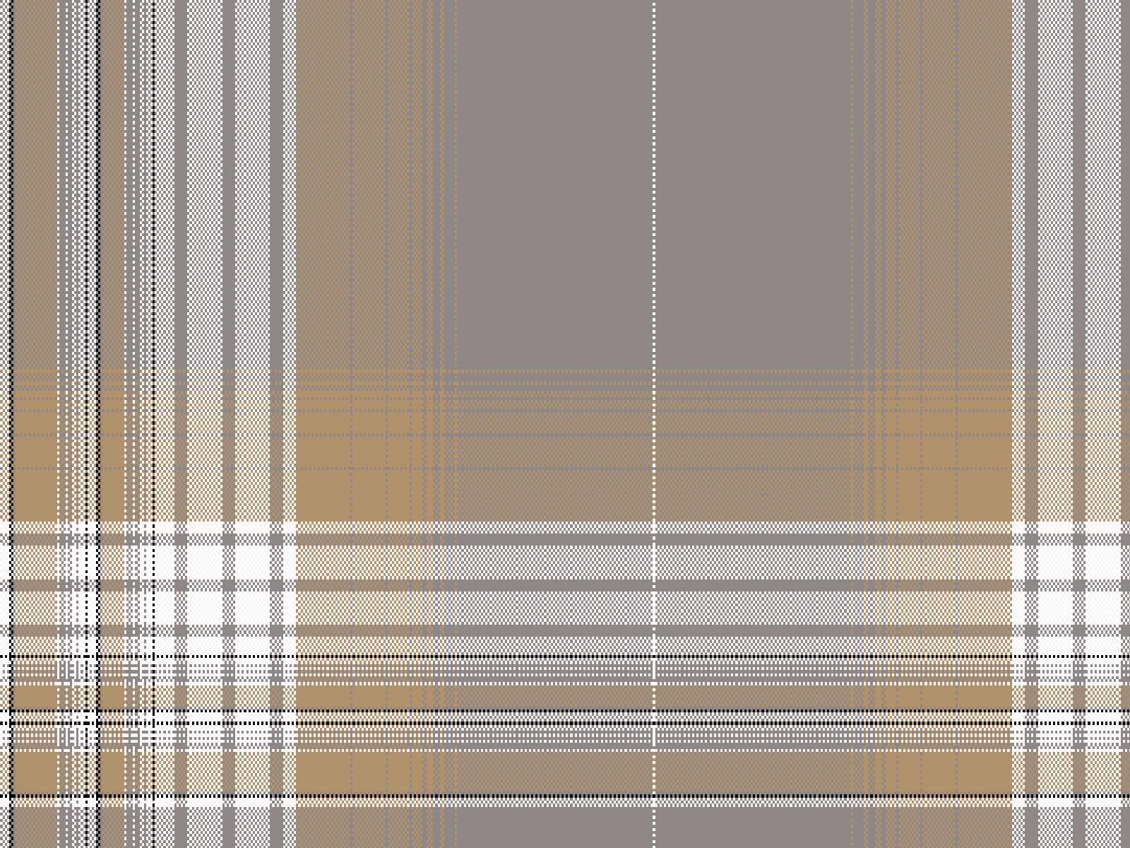 IMAGE_L