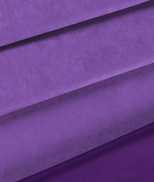 IMAGE_T