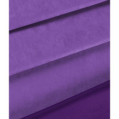 IMAGE_T