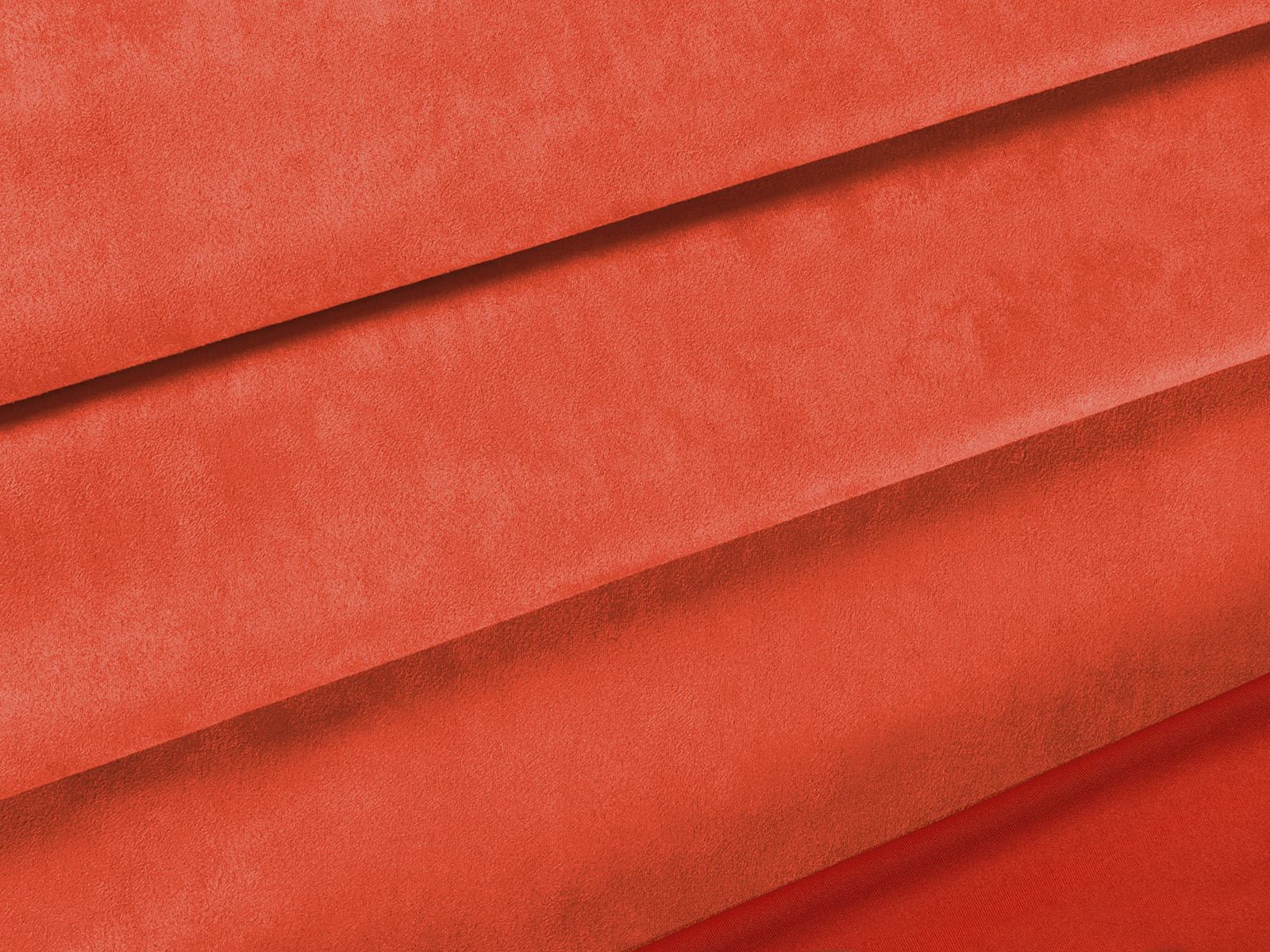 IMAGE_L