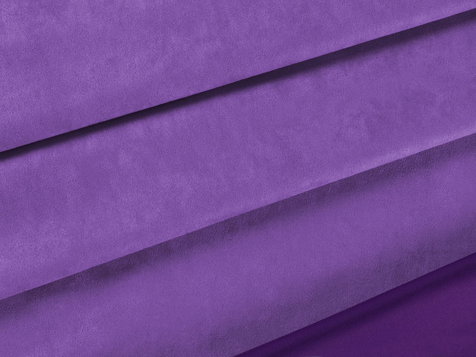 IMAGE_L