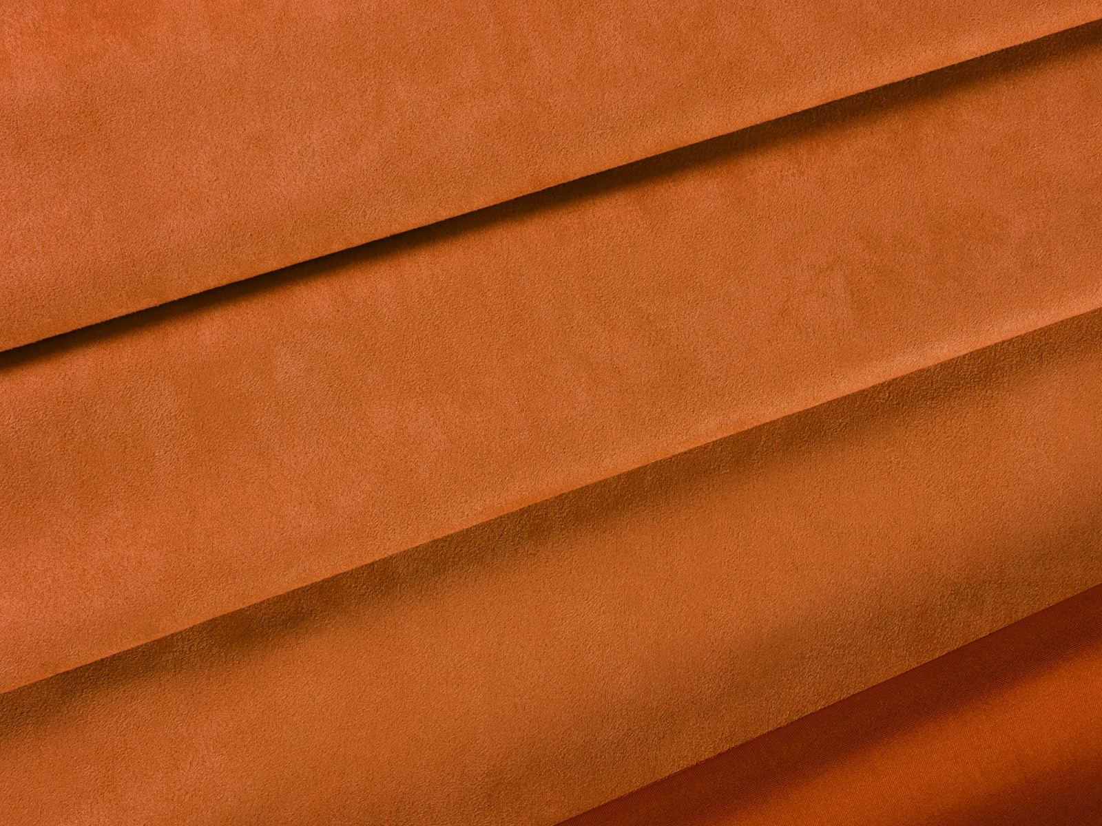 IMAGE_L