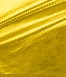 IMAGE_T