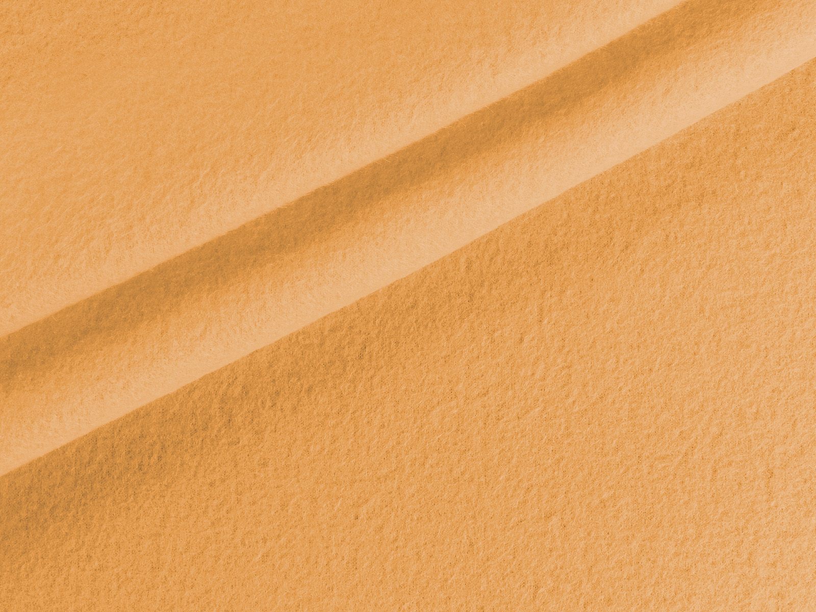 IMAGE_L